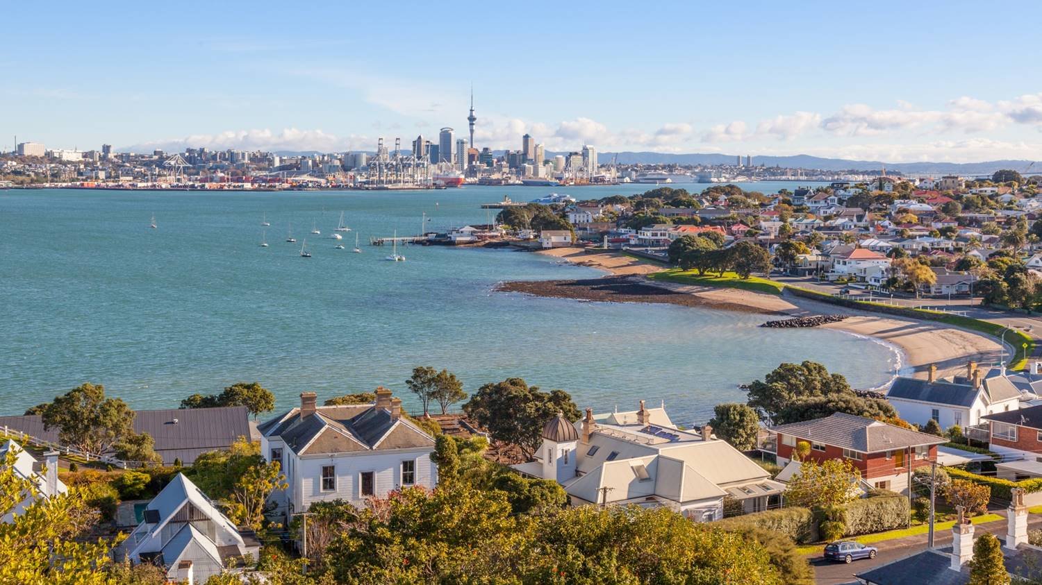 Auckland Housing Market